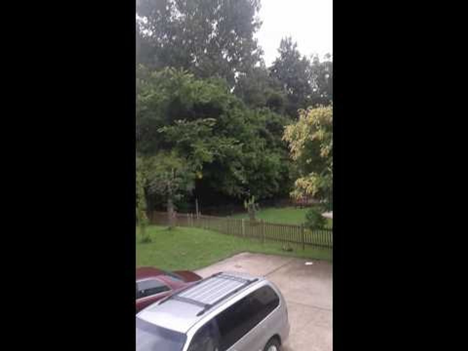 Update  video  ( going to Egypt )