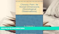 PDF  Chronic Pain: Its Social Dimensions (Sociological Observations) Kotarba J A For Ipad