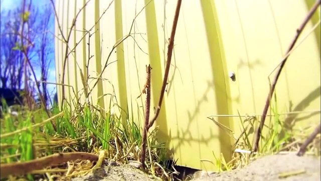 ДЕТЯМ НЕ СМОТРЕТЬ ТОЛЬКО ДЛЯ ВЗРОСЛЫХ Топ ПРИКОЛы №301