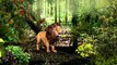 Lion Bear Finger Family Nursery Rhymes | Animal Cartoons Funny Toddler Kids Songs For Kids