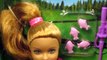 Mattel - Barbie Sisters / Siostry Barbie - Stacie na Kempingu / Camping Stacie Doll