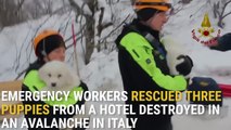 They were found after a week fleeing under the snows and unfortunately their parents had died