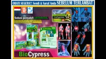 0813 2152-9993(bpk yogie), herbal bio cypress Blitar