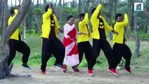 Guiya Hamar Ful Kumari Nagpuri Hits Songs !! 2017
