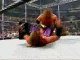 WWE Raw 2007 Triple H Returns