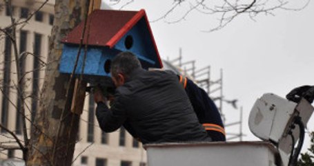 Avcılar'daki Parklara 'Kuş Evleri' Monte Edildi