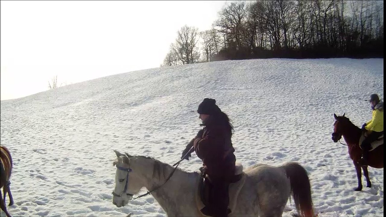 2 eme vidéo neige 25 janv 2017