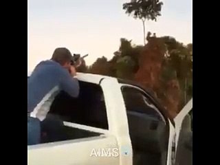 What-a-great-shoot-AIMS-Studio-Dailymotion