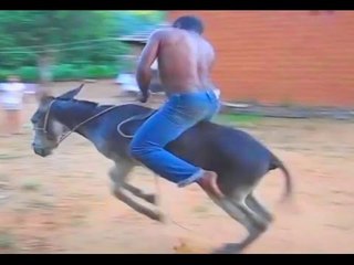 Os peão mais abeia do brasil