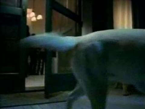 [Pub] Budweiser - Alien Wazzup