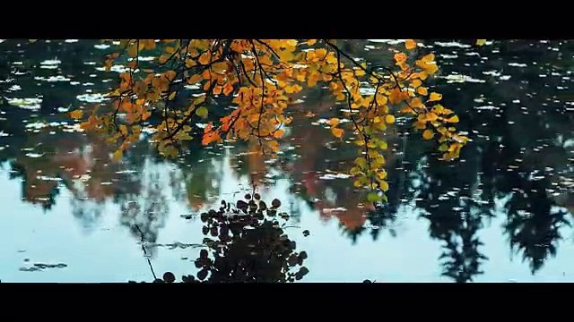 Muhteşem Timelapse Görüntüleriyle Norveç Mevsim Geçişleri