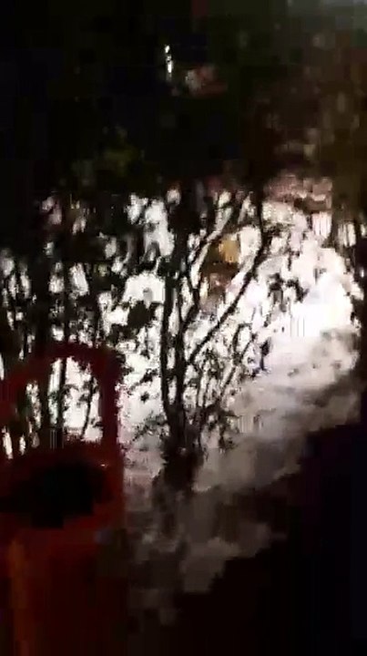 video-1483814903
