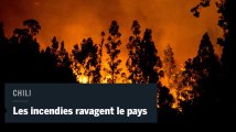 Des incendies dévorent des dizaines de milliers d'hectares au Chili