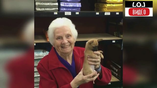 COUB|ЖИВОТНЫЕ ПРИКОЛЫ|КОТЫ КОШКИ И СОБАКИ|LOL ВИДЕО|СМЕШНЫЕ ВИДЕО|TRY NOT TO LAUGH|Лучшее|ТОП