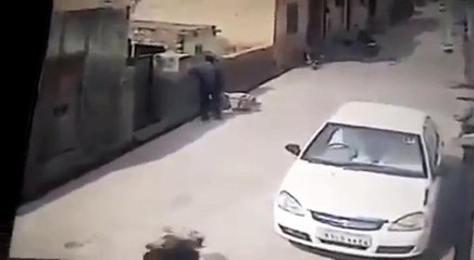 Man Is Assaulted By Cow With Bad Attitude