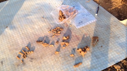 Près de Caen, des ossements d'un soldat mis au jour