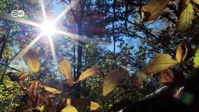 Lichtblick für italienisches Dorf | Fokus Europa