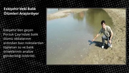 Eskişehir'deki Balık Ölümleri Araştırılıyor