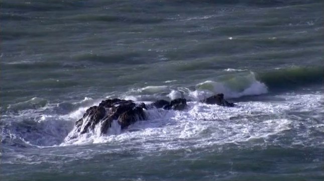 Será que Darwin matou Deus?