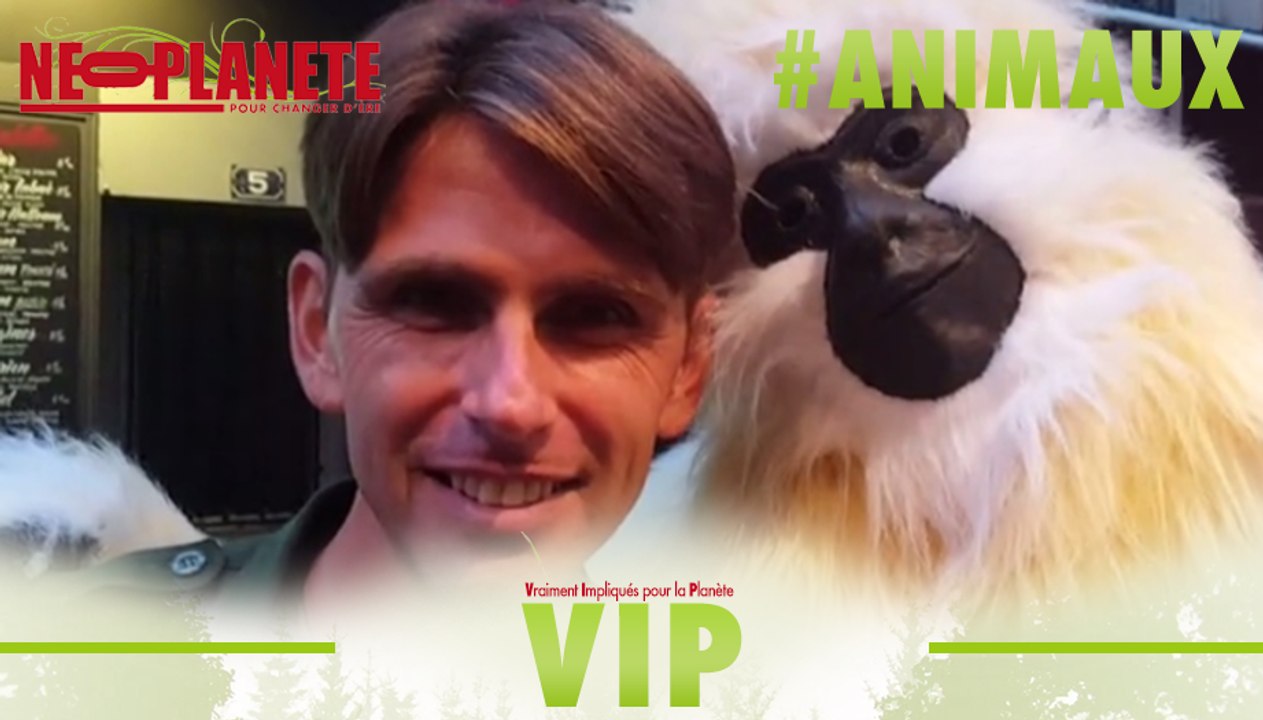 [VIP] Chanee : message d'un gibbon à Paris !