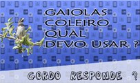 GAIOLAS DE COLEIRO QUAL DEVO USAR