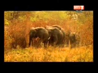 Parc de National Comoé: une rencontre avec le comité de gestion de parcs de Côte d'Ivoire