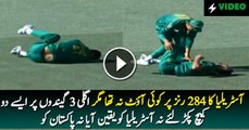 Two great catches took by pakistani fielders after having massive dhulai