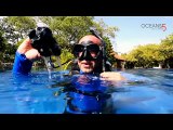 PADI Instructor Training Course at the Gili Islands in Indonesia with Oceans 5 Gili Air: 5 Point Descent