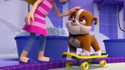 Paw Patrol : La Pat' Patrouille - Le jour du bain HD