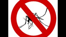 15 kHz - Sine wave sound frequency tone (mosquito repellent)