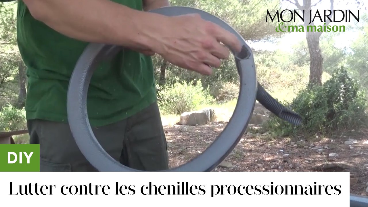 Diy Comment Lutter Contre Les Chenilles Processionnaires Video Dailymotion
