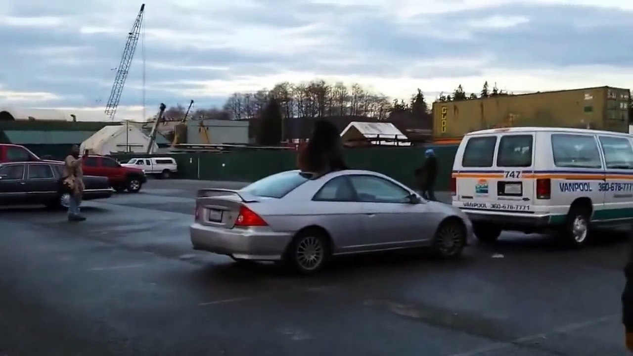 Sea Lion Makes Himself Comfortable On The Roof Of A Car