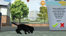 Best Mobile Kids Games - PS Vita Pets - Puppy Parlour - Playstation Mobile Inc