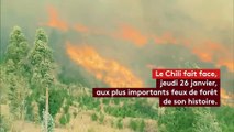 Des feux de forêt historiques au Chili
