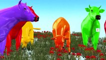 Cow 3D Colourful Colour Song For Children Rhymes | Rat Colours Animated Nursery Rhymes