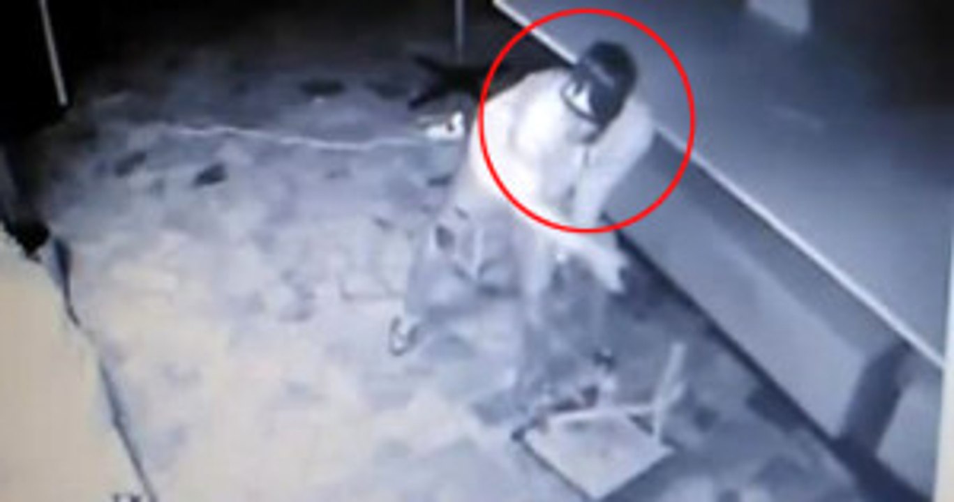 Soyduğu İş Yerine Geri Dönen Hırsız, Papağanı da Çaldı