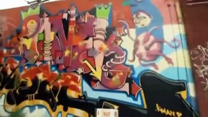 The Zoe Pound Miamis Street Gang Crime Documentary