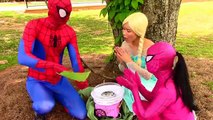 Spiderman Frozen Elsa & Pink Spidergirl: Rainbow Cotton Candy Changes color Superheroes IRL