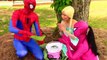 Spiderman Frozen Elsa & Pink Spidergirl: Rainbow Cotton Candy Changes color Superheroes IRL