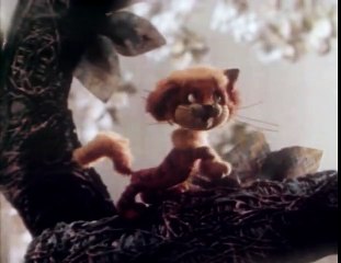 Про кота, про Васю и охотничью катавасию