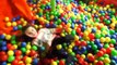 Indoor Playground Family Fun for Kids- Ball Pit, Play Area, Huge Slide and Peppa Pig