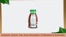 Organic Green Tea with Hawaiian Coffeeberry Case of 12 b5e98229