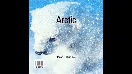 "Arctic" Cold Rap Beat 2017 TL Beats