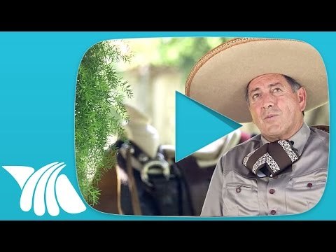 Alejandro Eduardo Gomez - Agente Bienes Raíces