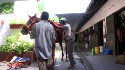 Superar la pobreza montados en un pura sangre
