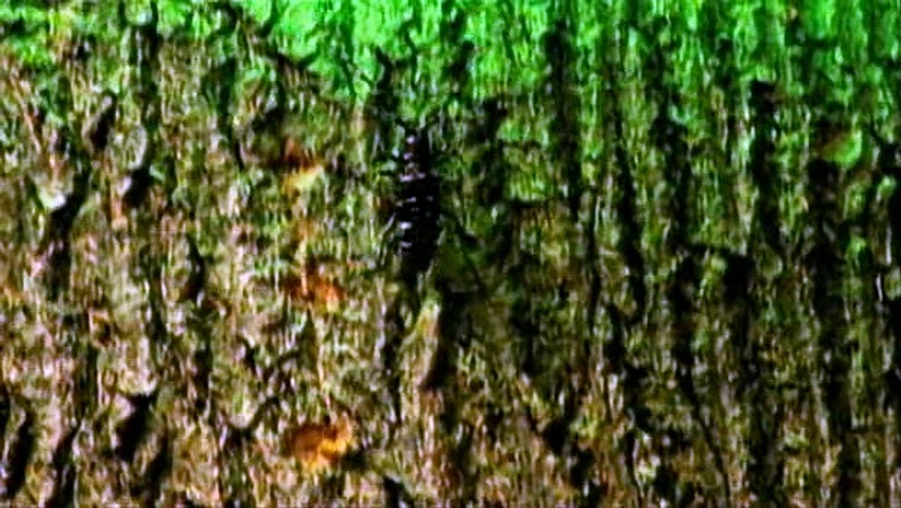 Élet Az Emberek Után S01e05