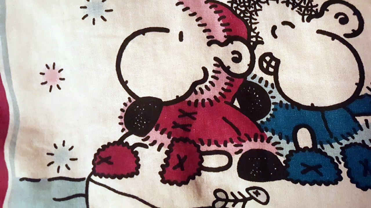 Der Mann im Rollstuhl