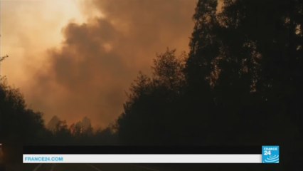 Incendies au Chili : 7 morts dans le "pire désastre forestier" du pays