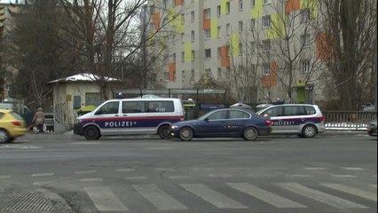 Tải video: В Австрии задержаны подозреваемые в связях с группировкой 