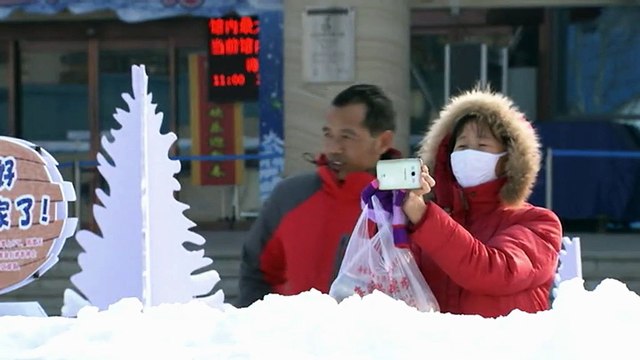 Chine : les manchots empereurs et les gorfous dorés sont de sortie dans un parc polaire